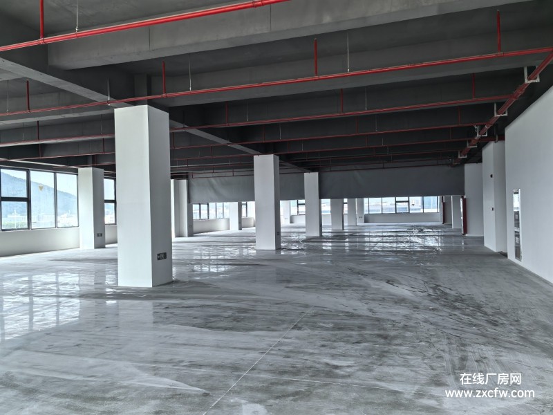 苏州厂房出租-苏州吴中区1350平小面积框架结构厂房出租 精装修厂房有食堂卫生间