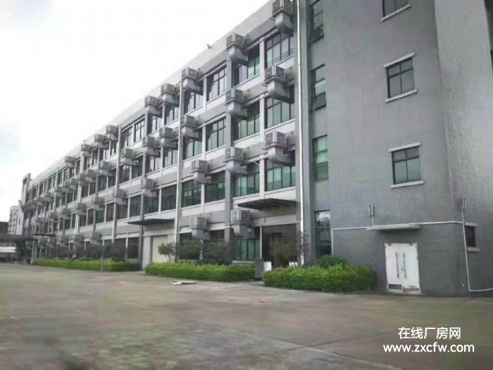 大朗松山湖独院2万平厂房出租 也可做电商仓库电子机械加工-广东厂房出租