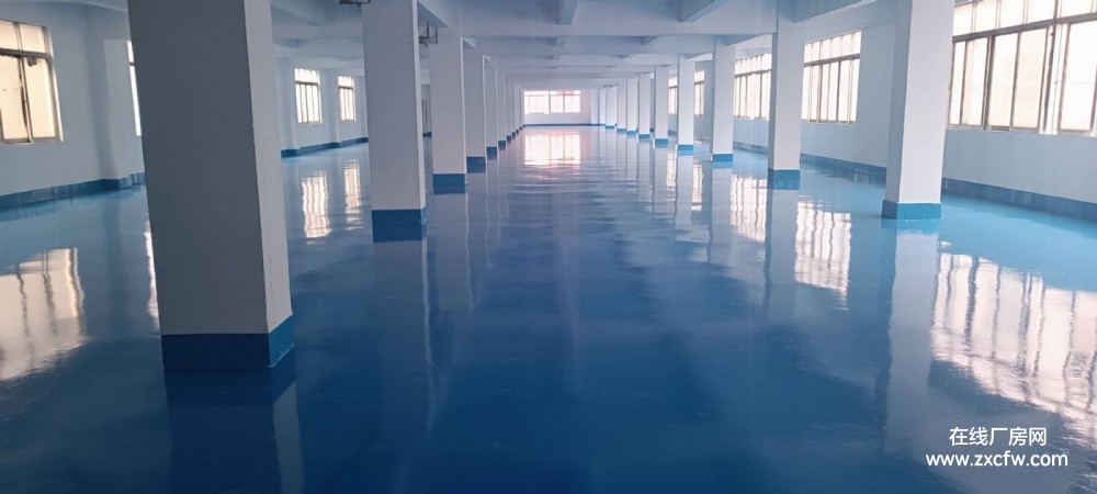 东莞-大朗8000㎡电子食品家具印刷五金独门独院标准厂房出租 佳通便利可分租-广东厂房出租