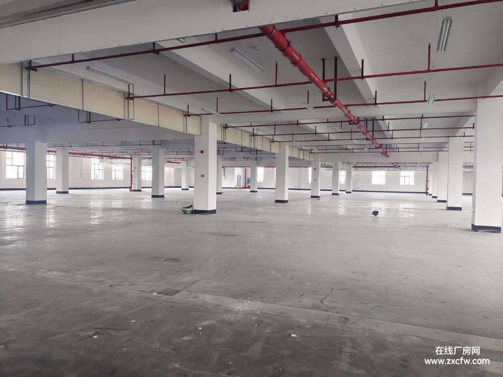 湘潭厂房出租-九华和平街道雅爱路13号厂房出租