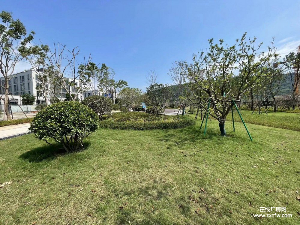 浙江厂房出租-玉环产业升级新引擎现代化厂区 配套食堂运动场会议中心人才公寓