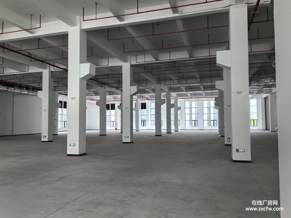 广东珠海厂房出租-珠海市高新区国企全新高标准厂房出租 适合智能制造智慧城市等产业入驻