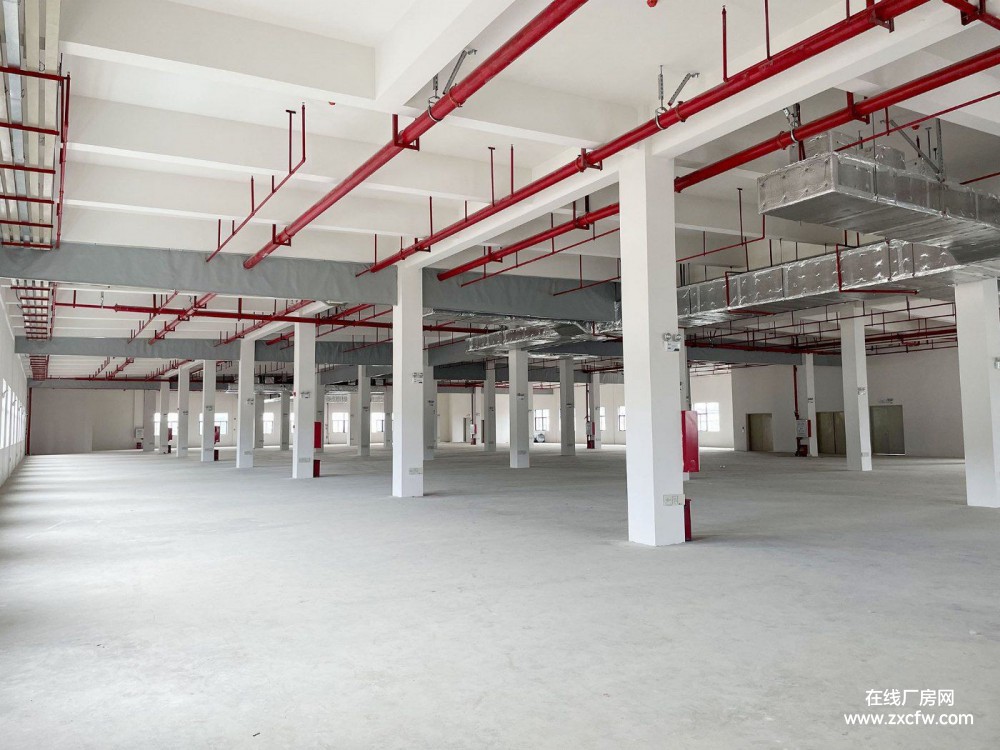 广东珠海厂房出租-珠海斗门优质PCB产业基地厂房出租 3500㎡价格面议