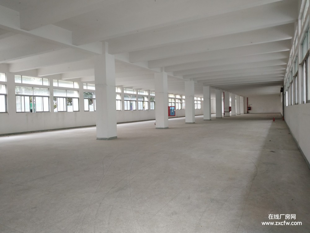 广东深圳厂房出租-南山西丽南岗 阳光工业区3500平办公厂房直租无行业限制