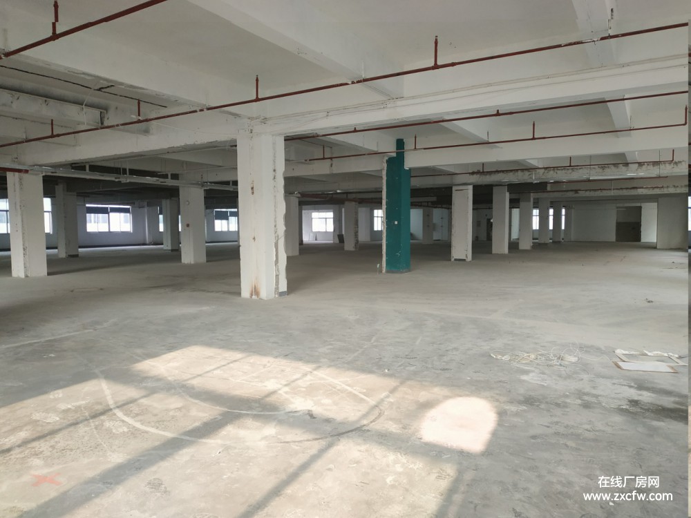 广东深圳仓库出租-南山西丽南岗阳光工业区200-3000平不等办公厂房仓库直租