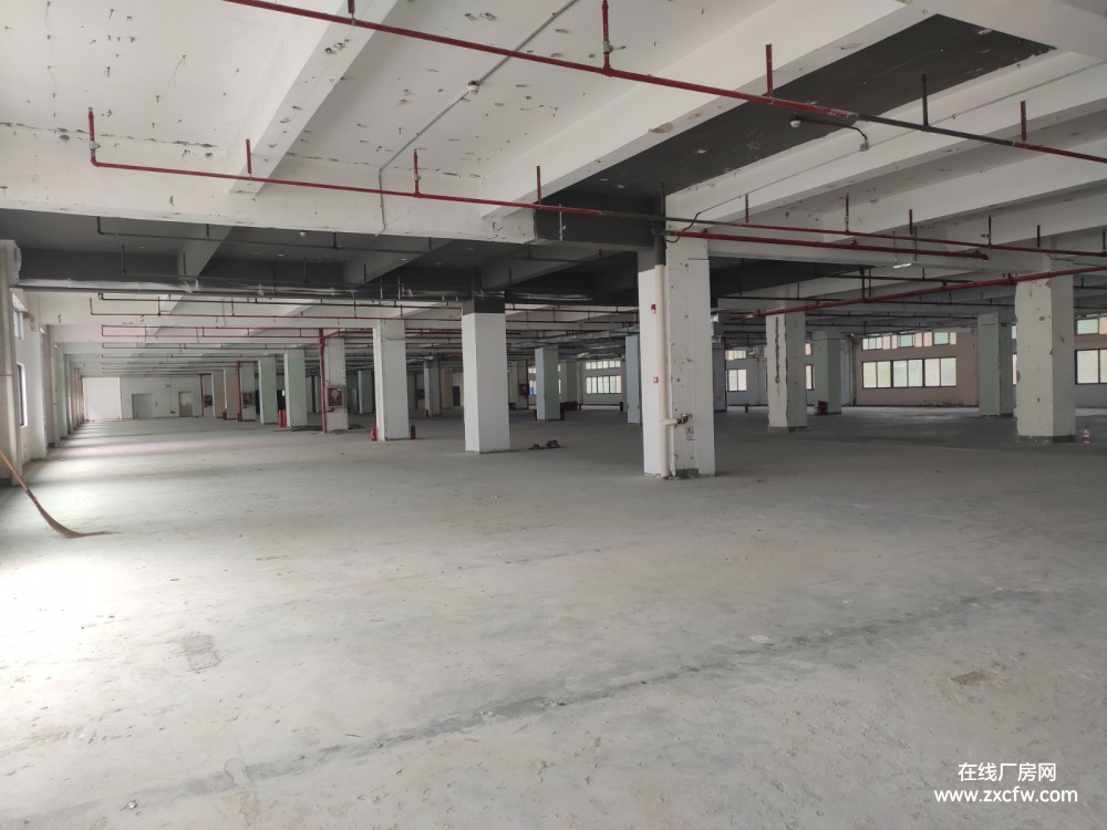 广东深圳厂房出租-南山西丽麻磡工业区独栋8500平办公厂房直租无行业限制