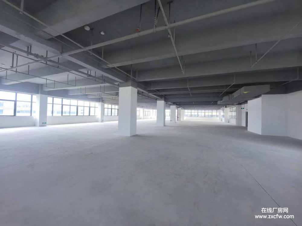 广东广州厂房出租-广州黄埔夏园研发办公厂房出租原房东18元一平方