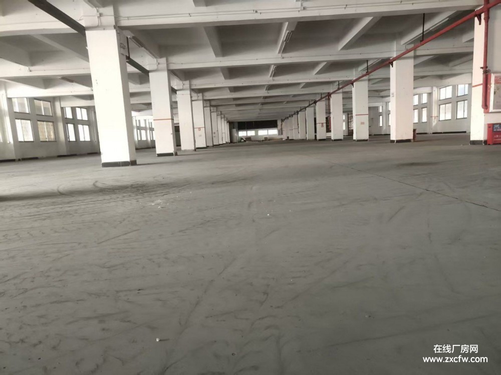 广东中山厂房出租-中山市15000㎡红本厂房出租可分租空地大绿化足同时可提供托管服务