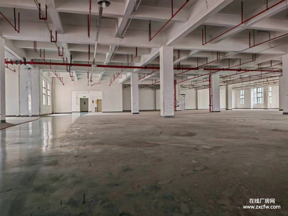 重庆市辖区厂房出租-重庆巴南界石工业厂房出租可分租适合轻加工、仓储行业入驻 价格可谈