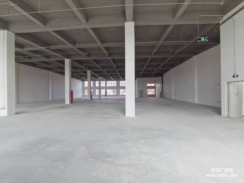 天津厂房出租-滨海新区独院框架工业厂房出租 有电梯可做机械加工