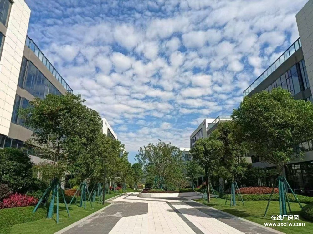 福州厂房出租-天津大学（福州校区）西南100米厂房出租