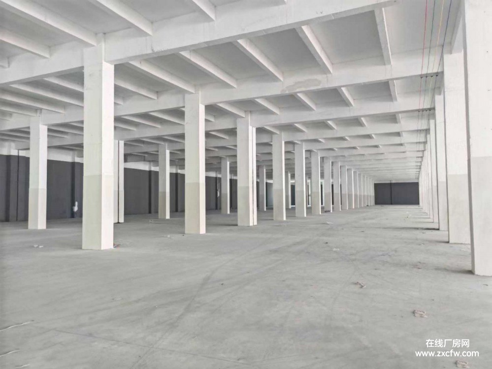 宁德厂房出租-坂中乡江家渡村金洋路1号厂房出租