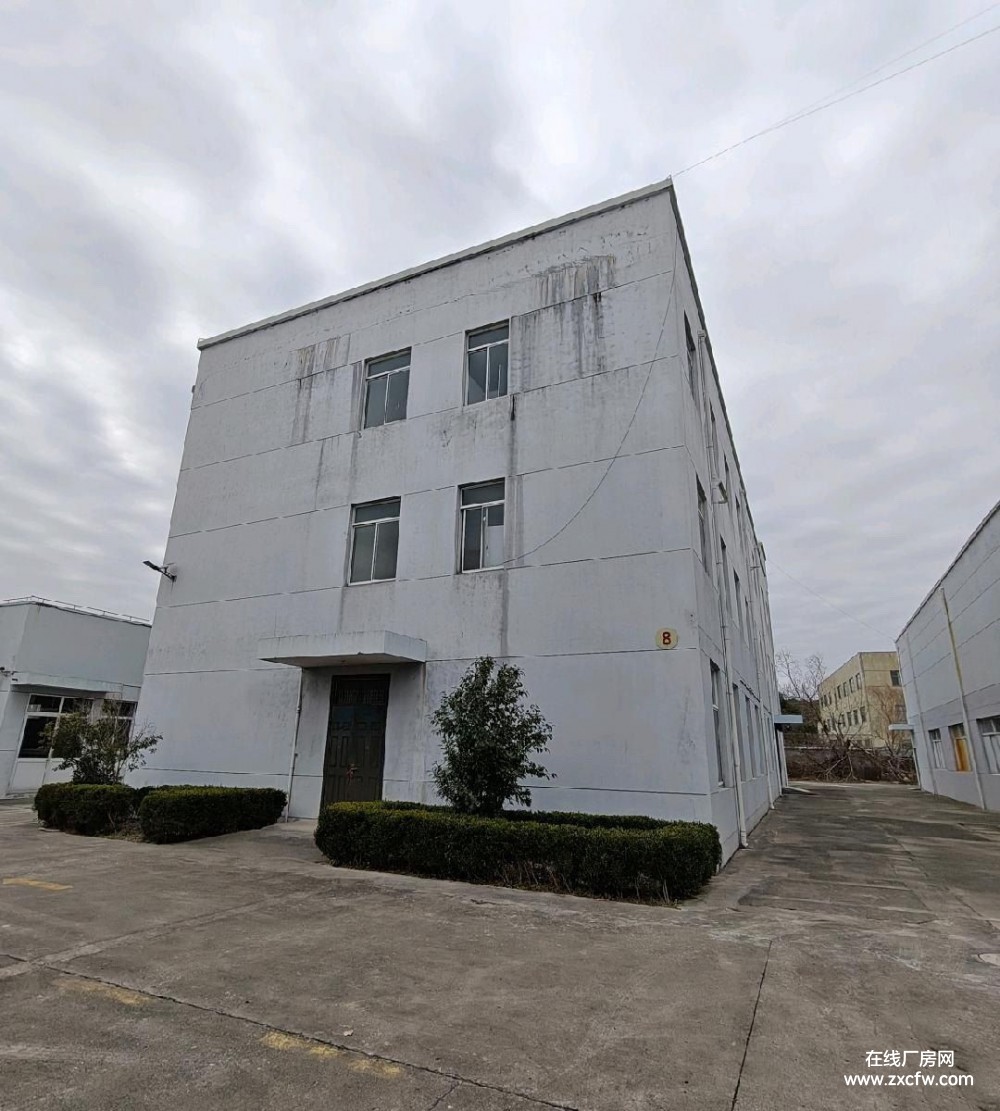上海厂房出租-奉贤区奉城工业区独门独院厂房仓库出租 适合轻污染行业
