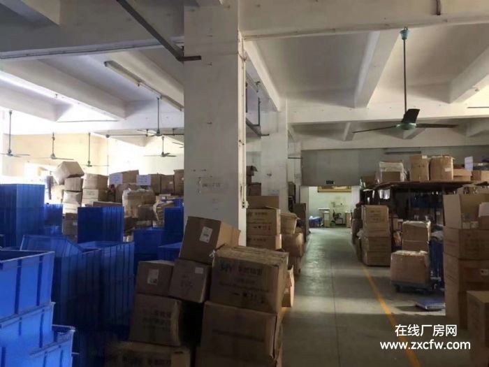 东莞厂房出租-塘厦大坪工业园原房东一楼850平工业厂房仓库出租 适合注塑五金模具仓库等