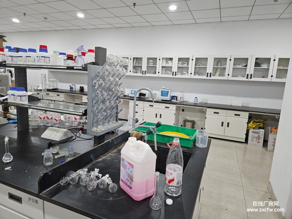 江苏南京钢混结构厂房出租-南京栖霞区药物研究实验室出售 资质齐全 领包入住 价格可谈