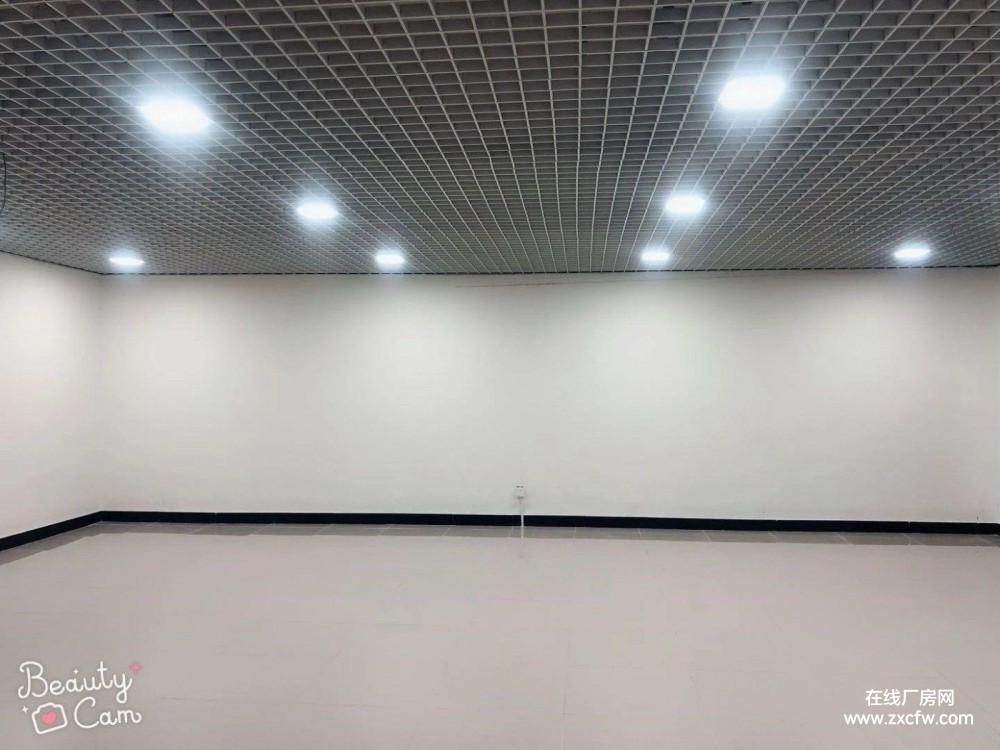 北京朝阳区钢结构厂房出租-北京朝阳区地下室出租 可办公可仓储可卸货位置佳