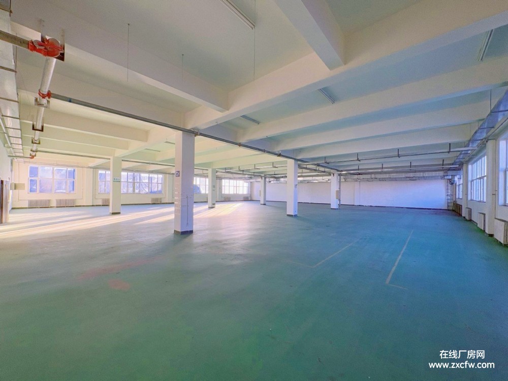 大连海青工业园双层厂房库房出租 分租整租均可带宿舍食堂可办公-辽宁厂房出租